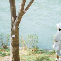 我怎么知道我的属?传统新年的第一天不一定是第一个月的第一个月?