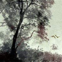 正月初六出生的女人 宽厚待人多伯乐