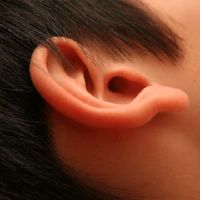 那个男孩是什么?为什么男人害怕风?