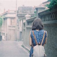 愚蠢的四个主要zods愚蠢