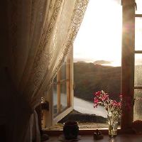 哪个黄道带最有可能爱上第一眼