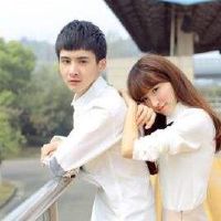 宁克永远不容易选择十二生肖