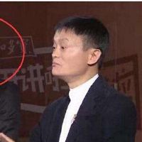 最不敏感的十二生肖