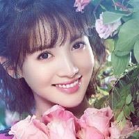 我从未从这些总结中赚钱。