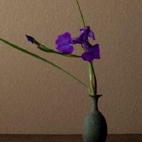 十二张十二生肖如何赚钱