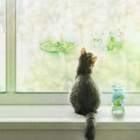 它似乎是最周到的黄道带