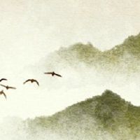 双胞胎是什么意思？