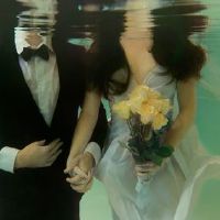 十二年十八杆卫兵，黄道十二生肖