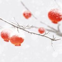 你想吃炉子糖孕妇吗？