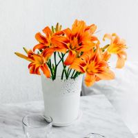 特别好的面孔,最害怕的黄道带