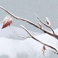 大年初五灶神 保佑家中灶火旺盛