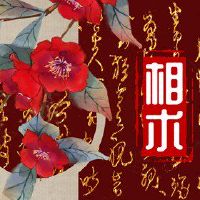 男人脸,你看到一个儿子吗?儿童宫殿质地