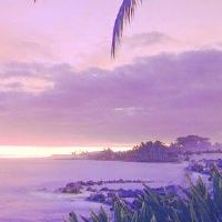 子的五个元素的生命和命运是什么？