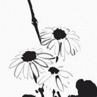 2022年4月9日出生的女宝宝名字合集 女孩取名温婉优雅