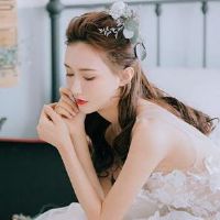 有一个偏见的黄道带