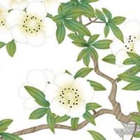 高端大气上档次的服装店名字 精选店铺起经典名字