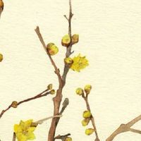 2022年4月11日出生热门女宝宝起名 女孩取名有品位气质