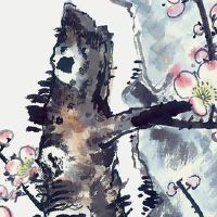 男人没螺是什么命 十个斗的男人中年时来运转