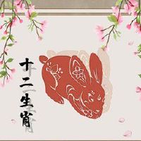 属兔人几点出生必定大富大贵 生对时辰财源旺旺
