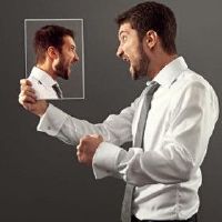 在十二年十二生肖中，没有人特别容易被刺激