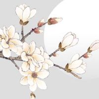 女装店名带财时尚霸气 洋气有创意的店铺起名