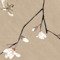 美容院名字大全 高端优雅店铺起名精选