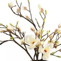 元宵节有哪些风俗活动 舞龙祈祷风调雨顺