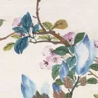 2022年4月19日出生热门女宝宝起名 属虎名字精选合集