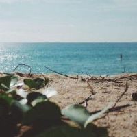 分手超级美妙星座的原因