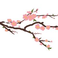 2022年4月26日适合入宅新居吗 农历三月二十五搬家吉利吗