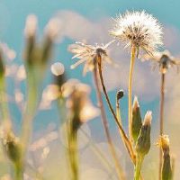 出生在过去30晚的人是如何？