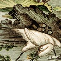 数码的一般起什么名字比较好 新颖洋气的店铺起名