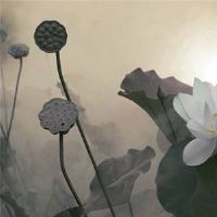 两颗二星会干燥