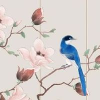 女装品牌取个好的名字 好听吸引人的店铺起名