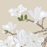 两眼之间鼻梁上有痣 鼻梁有痣的人聪明伶俐