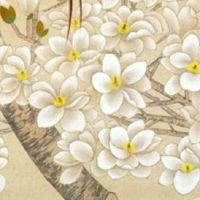 卖女装的店铺名字大全 新店起新颖大方的名称