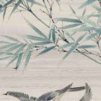 洋气的包包店名字免费 精选清新有范的店铺取名