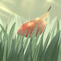 领导者芥末米带来健康的健康