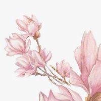 情侣手机号码 旺运的情侣靓号盘点
