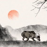 在2022年,牛的幸运色是什么,2022岁的年龄?