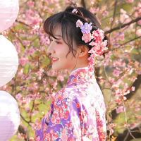 分支只是幻觉,这么快就尽快,“老式”星座,只要电脑永远爱!