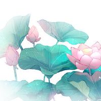 什么是十三杨锣？为什么十三个被称为杨锣的第一个月？