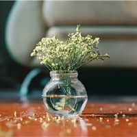 12个星座成功的道路