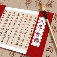 更好紫子日每日每日每日日日