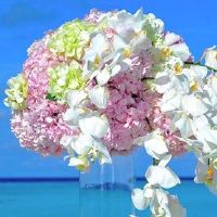 2022年5月4日青年节 是结婚吉日吗 这天日子宜忌