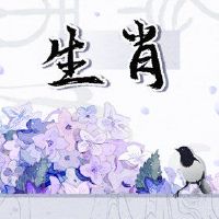 杨庆华12 Zodiac一周财富2.7-2.13