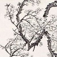 营业执照怎么选名字 吉祥如意的店铺起名大全