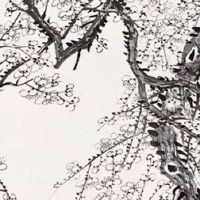 86年属虎财运怎么样 运势较稳可做副业