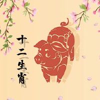 在第95次20年猪的三年的情况下