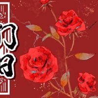 Anmen不是Jiji如何解决